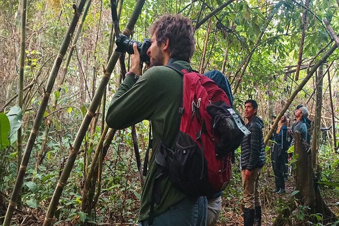 3 Days Guided Manu Jungle Tour from Cusco - The Macaw Clay Lick at dawn: the moment that can make the trip feel worth it