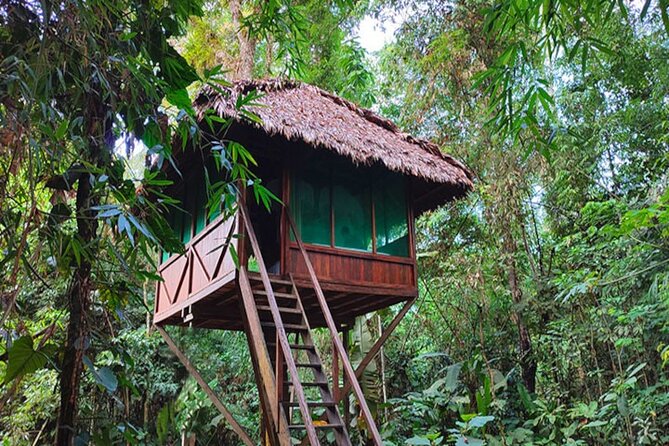 3 Days Guided Manu Jungle Tour from Cusco - Comfort, timing, and season: the real-world considerations that matter