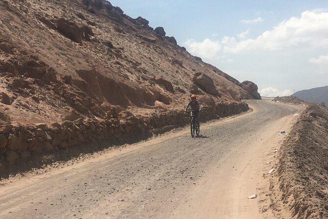 3 Hour Congata Rover Biking Ride Tour in Arequipa - Price and value: $45 for a guided 3-hour active outing
