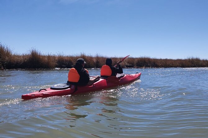 3 Hour Guided Kayaking Tour in Lake Titicaca - Birds, wind, and altitude reality checks for Titicaca