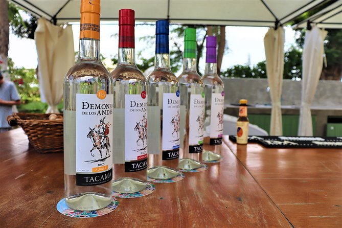 3-hour Wine and Pisco tour / Tacama and El Catador - What About the Tastings: How to Taste Without Getting Lost