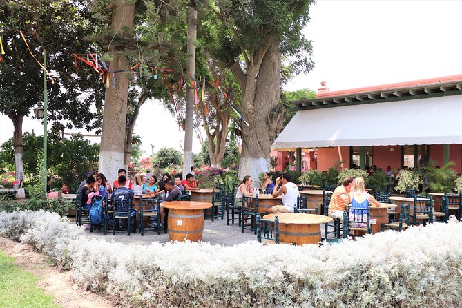 3-hour Wine and Pisco tour / Tacama and El Catador - Group Size, Transportation, and Why Private Pickup Changes the Day