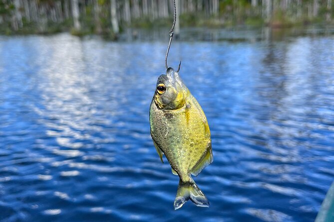 3 Hours Private Piranha Fishing in Lake Yacumama - Key Highlights You’ll Care About