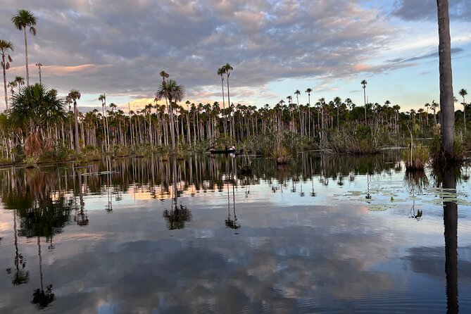 3 Hours Private Piranha Fishing in Lake Yacumama - Rowing Boats, Quiet Wildlife Time, and Why It Matters
