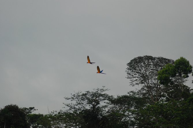 4-Day Amazon Jungle Tour at Eco Amazonia Lodge - Puerto Maldonado and EcoAmazonia Lodge: Why This Plan Works