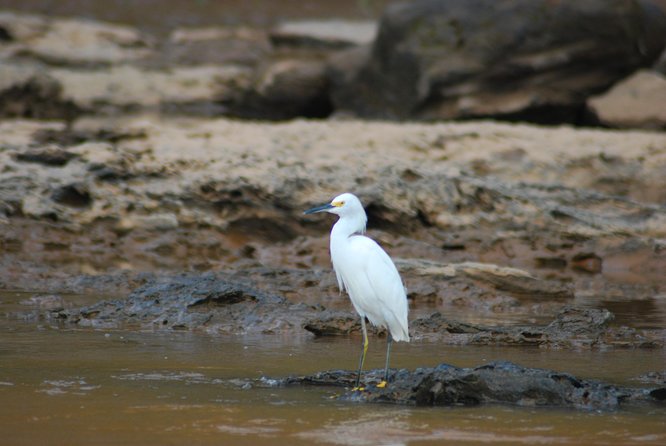 4-Day Amazon Jungle Tour at Eco Amazonia Lodge - Day 2: Hike Through Forest Types to Lake Apu Victor, Then Monkey Island at Dusk