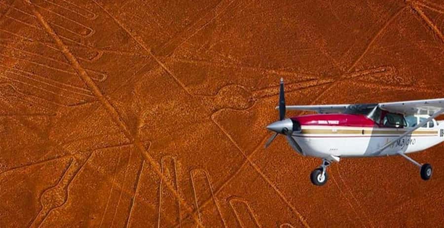 4 Day from Lima: Nazca Lines Flight, Paracas, and Huacachina - Day 2: Ballestas Islands on a speedboat, then Paracas National Reserve