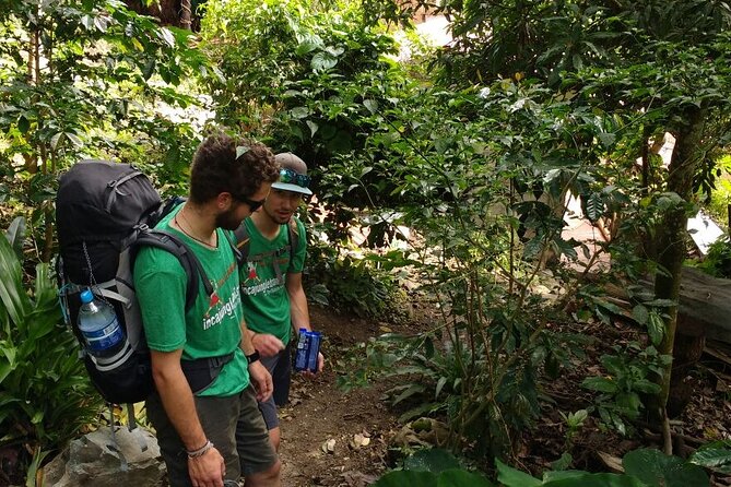 4-Day Inca Jungle Trail to Machu Picchu Hiking and Biking Tour - Day 4: The 5:10 am Machu Picchu ascent, then a descent toward hot springs and Cusco