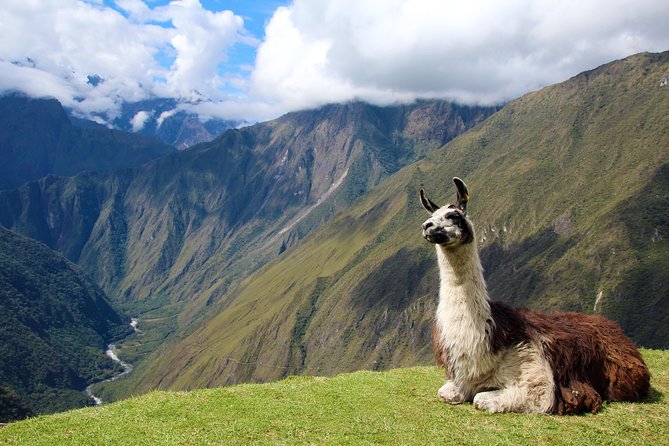 4 Day - Inca Trail to Machu Picchu - Group Service - Day 2: Dead Woman’s Pass and the cloud forest plant show
