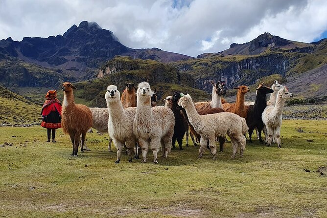 4 Day Lares Trek to Machu Picchu 2024 - Day 1 Lares Hot Springs, Kiswarani, and the first 3,900 m campsite