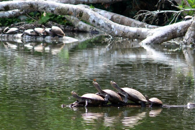4-Day Private Tour to Manu National Park from Cusco - Price and value: what you really get for $580 per person