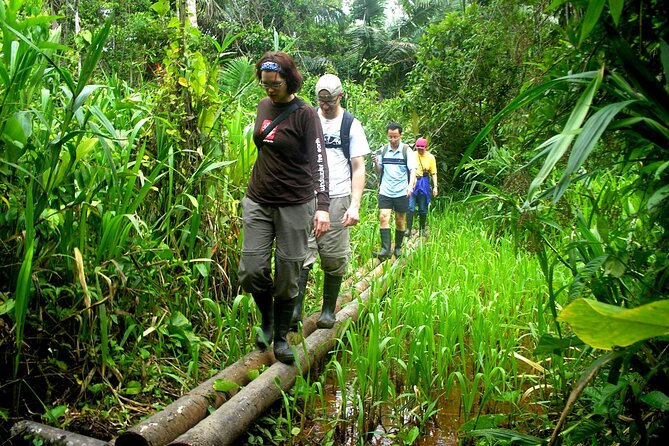 4-Day Private Tour to Manu National Park from Cusco - Day 2: Jungle trails, monkey groups, and the mammal clay-lick hideout