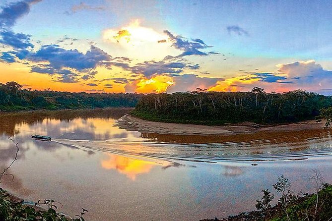 4 Day Tambopata Amazon Wildlife & Canopy Experience - Key highlights and what they mean for you