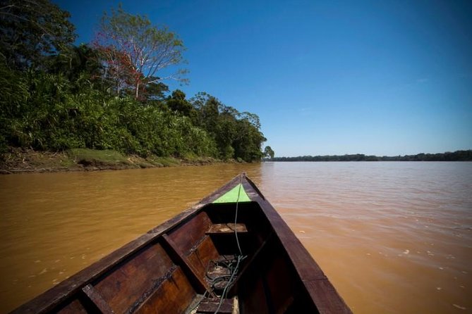 4 Day Tambopata Amazon Wildlife & Canopy Experience - Day 2: 40-meter canopy at 5:30am and Sandoval Lake by boat