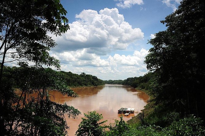 4 Day Tambopata Amazon Wildlife & Canopy Experience - Day 3: piranha fishing on the Small River, then tree climbing with a specialist