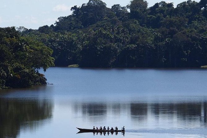 4 Day Tambopata Amazon Wildlife & Canopy Experience - Day 4: parrot clay lick, indigenous family visit, and the Puerto Maldonado market