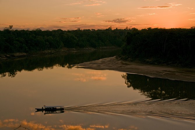4 Day Tambopata Amazon Wildlife & Canopy Experience - Wildlife expectations: the “might see” list is real, but the timing is the boss