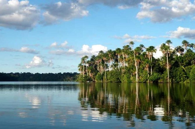 4 Day Tambopata Amazon Wildlife & Canopy Experience - Small-group logistics: bilingual guide, included rides, and what’s actually covered