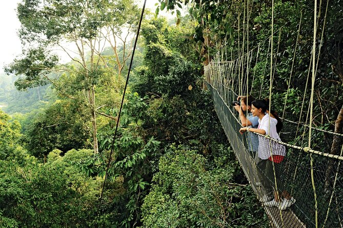 4 Day Tambopata Jungle Tour with Local Guide - Getting to Tambopata, and why Puerto Maldonado is the right jump-off