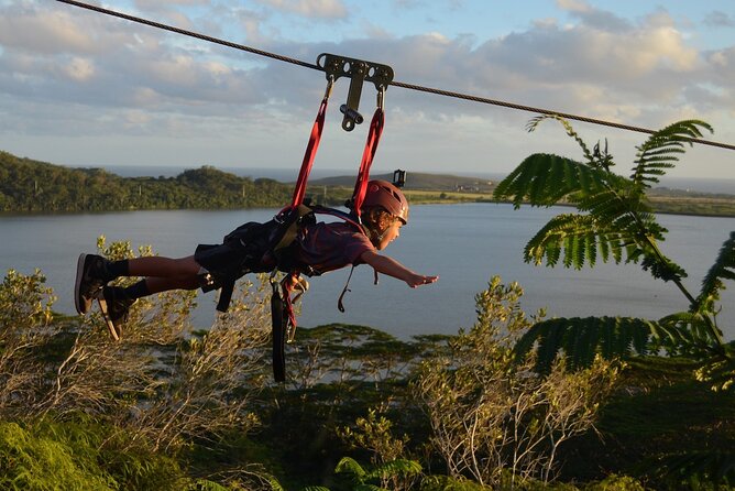 4 Day Tambopata Jungle Tour with Local Guide - Day 4 sunrise clay lick at Collpa de Loros, then back to Puerto Maldonado