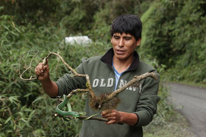 4 Day Tour to the Manu National Park - Why Manu from Cusco feels like a real change of world