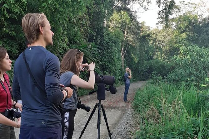 4 Day Tour to the Manu National Park - Day 3 at dawn: macaw clay lick, forest walk, river time, and zipline views