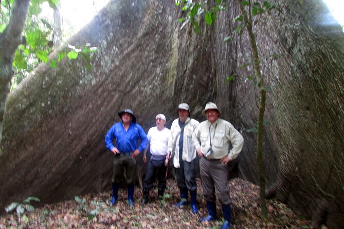 4-Day Wildlife Tour: Manu Peruvian Jungle - Day 2 What You Should Expect From a Night Walk
