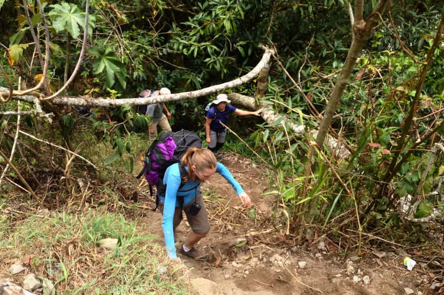 4 Days Inca Jungle Adventure to Machu Picchu - Comfort level, packing smart, and hostel reality