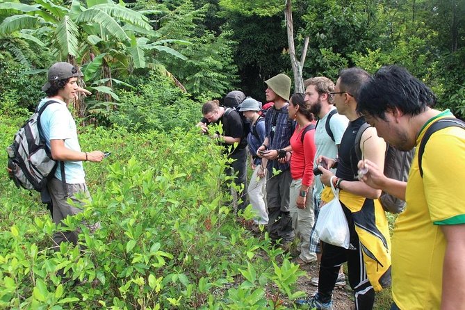 4 Days Inca Jungle to Machu Picchu Standard - High Forest Hike To Inca Carcel, Coffee And Cocoa, Then Cocalmayo Hot Springs