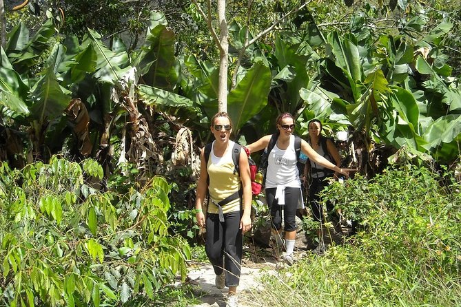 4 Days Inca Jungle to Machu Picchu Standard - Lodging and meals: hot water, basic beds, and simple family food