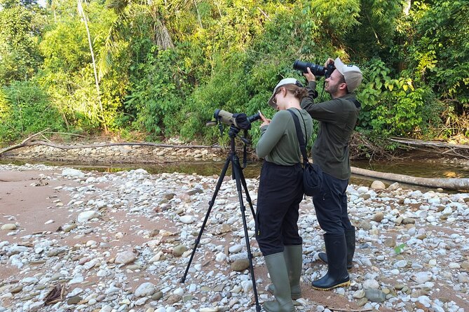 4 Days Manu Park Tour - Treehouse Inn on Day 1: comfort between jungle hours