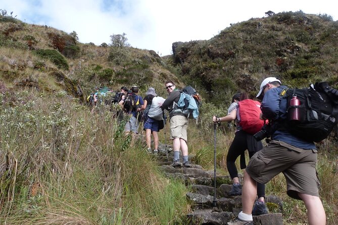 4 Days Small Group Inca Trail Tour to Machu Picchu - Day 2 Warmi Wañusqa (Dead Woman’s Pass) to Pacaymayo: The Big Altitude Moment