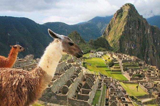 5-Day: ||All Included|| Excursion to Cusco, MachuPichu & Humantay Lake - Day 3 Machu Picchu: bus up, a guided two-hour walk, and back by train