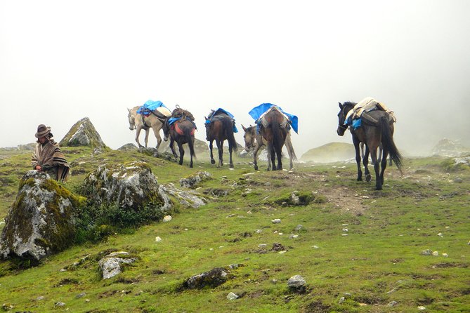 5-Day All-Inclusive Salkantay Trek To Machu Picchu - Day 2: Ascent to the Salkantay Pass, Lunch at Huayracmachay, and Down to Challway