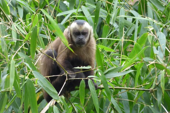 5 - Days Manu Jungle Tour with Hot Springs and Falls - Day 5: Back to Cusco, with that “one more look” feeling