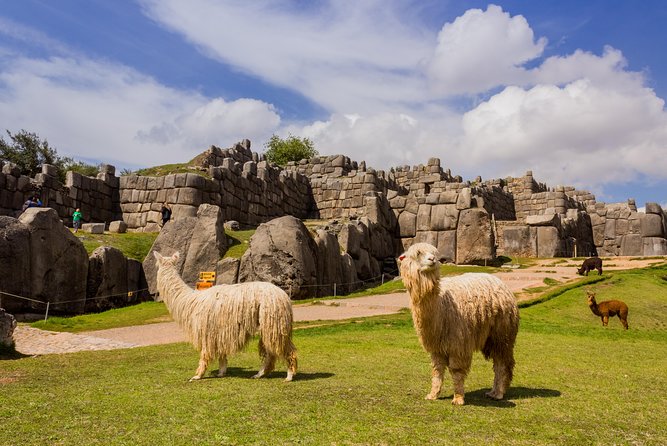 6-Day Best of Peru: Cusco, Machu Picchu, and Lake Titicaca Tour - Day 6 departure via Juliaca: keep it simple and show up on time