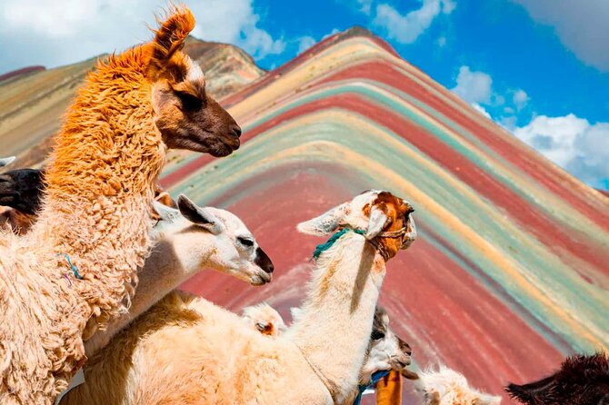 6-Day Tour of Cusco Magico-Machu Picchu-Rainbow Mountain - Price and Value of $539: What You Pay For (and What You Don’t)