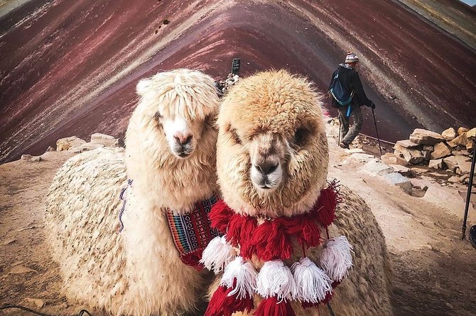 7 Colors Mountain Tour: Explore the Magic of Vinicunca in 1 Day - Key Highlights You’ll Care About