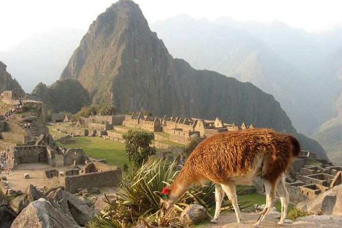 7-Day Lima and Cusco Tour with Sunrise at Machu Picchu - Day 1 in Miraflores: landing in Lima and getting your footing