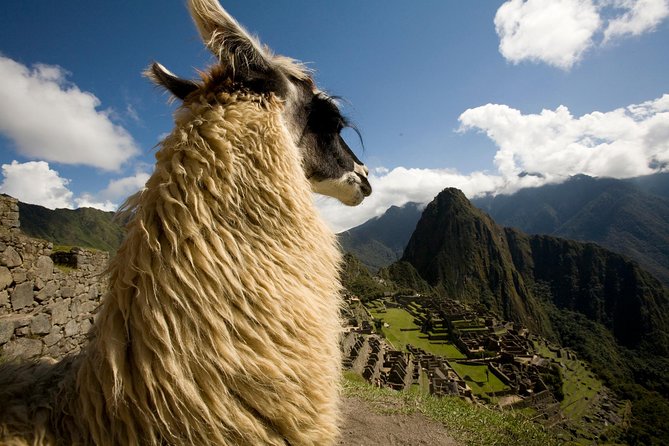 7-Day Peru Private Journey - Machu Picchu Day 6 with route 2 priority: bus ride, guided walk, and included lunch