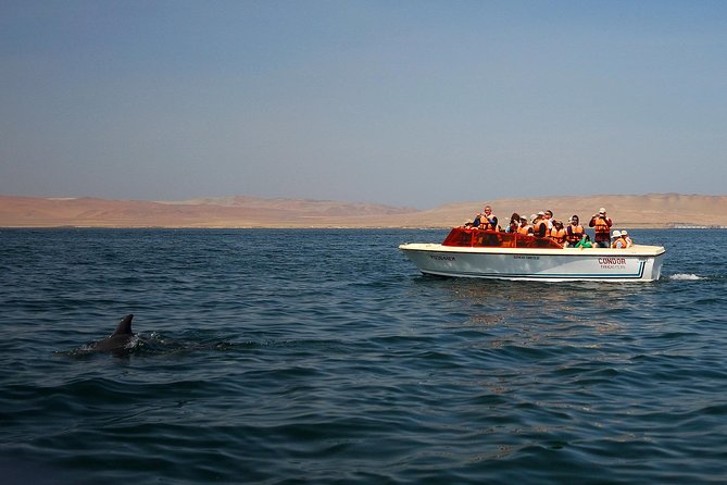 8-Day Enigmas of Peru - Ballestas Islands: seals, caves, and marine life with an expert guide