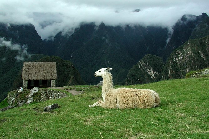 8-Day Tour from Lima: Machu Picchu and the Amazon Jungle - Day 6 The Amazon Switch: Flight to Puerto Maldonado and Twilight River Time