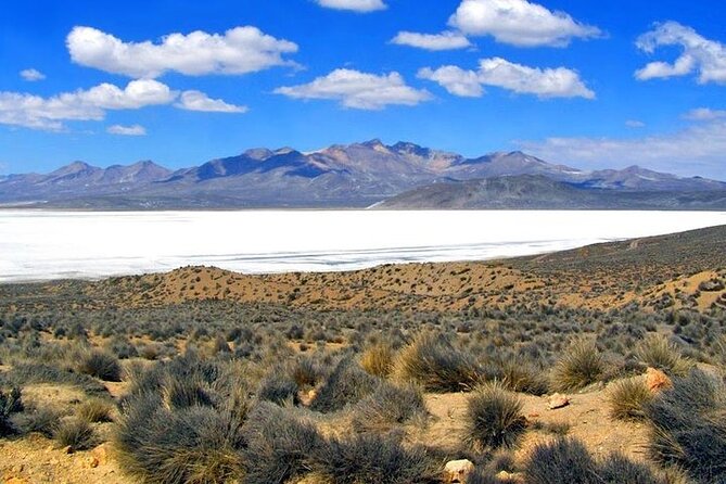 8-Hours Tour in Arequipa Laguna de Salinas with Pick-up - Laguna de Salinas stop: mirror photos, flamingos, and wind reality