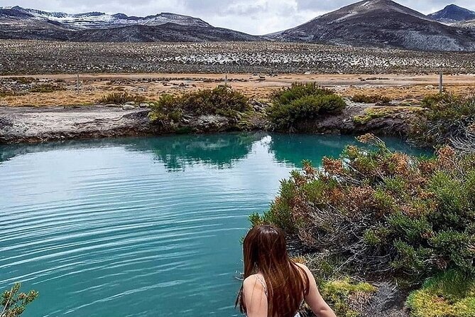 8-Hours Tour in Arequipa Laguna de Salinas with Pick-up - What you are likely to see: flamingos, vicuñas, and the parihuana effect