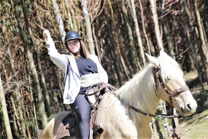 Adrenalin Mystic Tour Full Service - Key highlights to know before you book