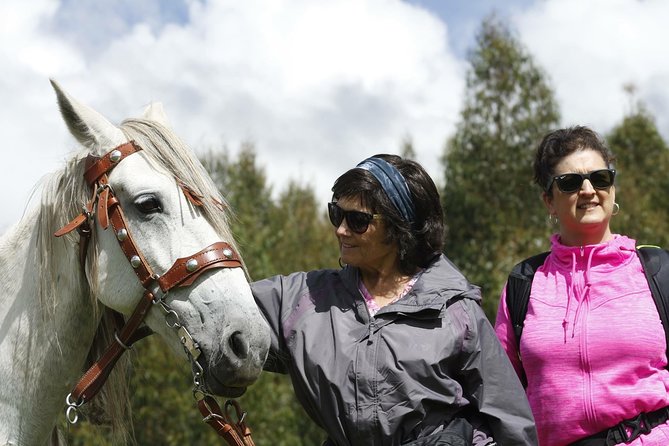 Adrenalin Mystic Tour Full Service - Price and value: is $65 worth it for this kind of experience?