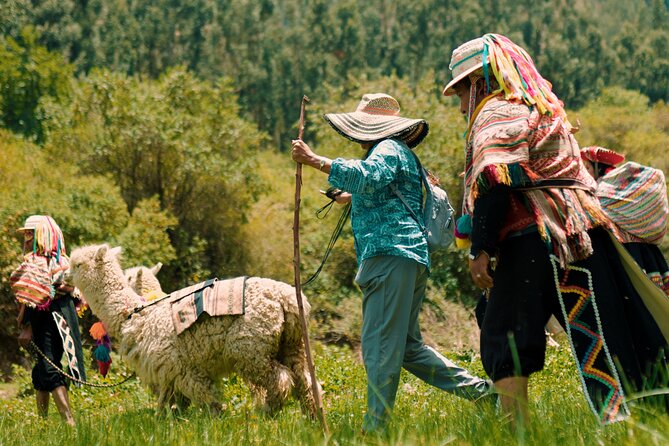 Alpaca Walk & Natural Dye Tour: A Memorable Full Day Experience - Key highlights you will notice fast