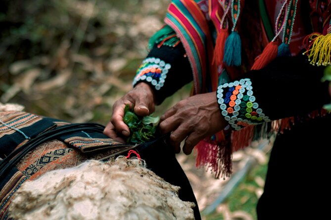 Alpaca Walk & Natural Dye Tour: A Memorable Full Day Experience - Price and Value: What $149.90 Covers for a Full-Day Experience
