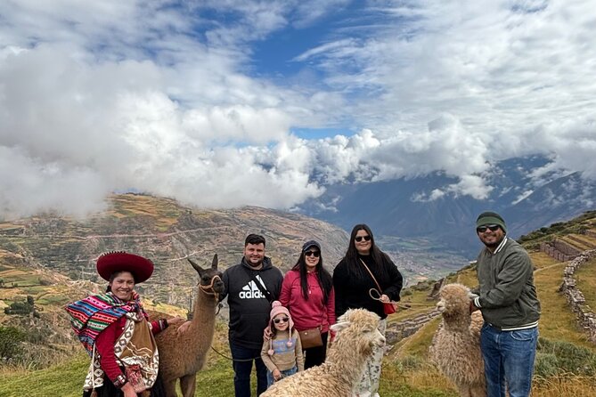 Alpaca Walk over the Sacred Valley of the Incas from Cusco - Quick highlights