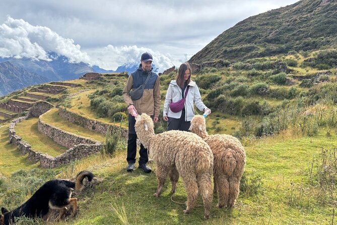 Alpaca Walk over the Sacred Valley of the Incas from Cusco - Alpacas, llamas, and the kind of guide experience you’ll get